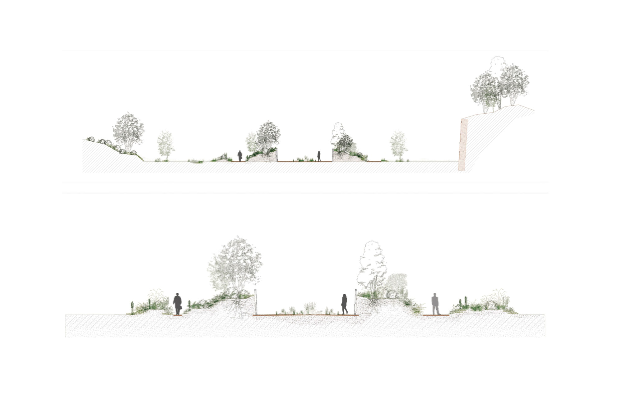 Le jardin des songes, jardin de la paix franco-australien jardin-paix-franco-australien-amiens-08