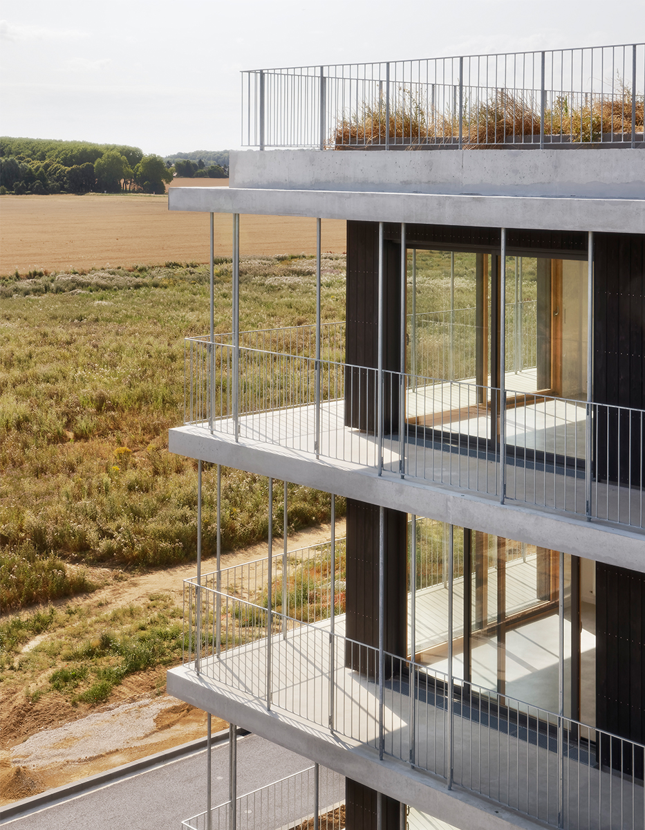 Social housing units, commercial premises, Sycomore district logements-quartier-sycomore-vignette