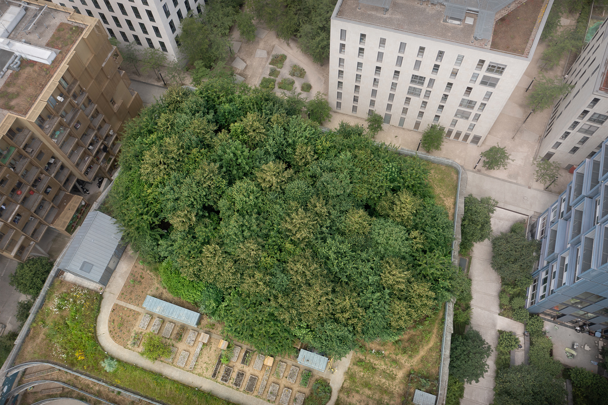 L'école des sciences et de la biodiversité, 10 ans après ecole-boulogne-reportage-10-ans-apres-vignette1