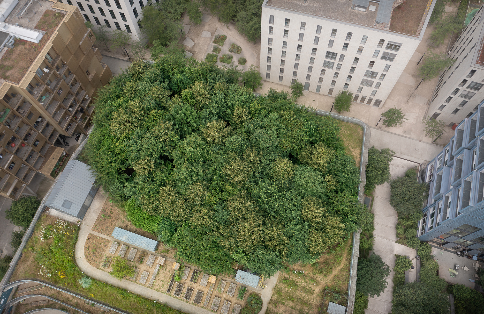 L'école des sciences et de la biodiversité, 10 ans après ecole-boulogne-reportage-10-ans-apres-00