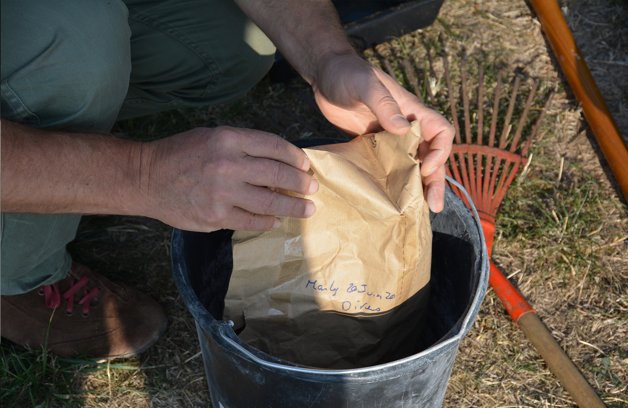 An experiment in ecological restoration une-experience-de-restauration-ecologique-06