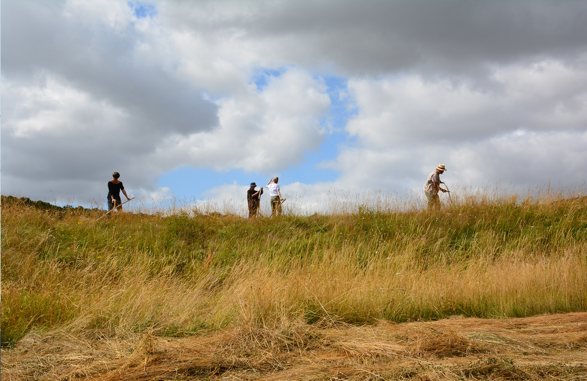 An experiment in ecological restoration une-experience-de-restauration-ecologique-16