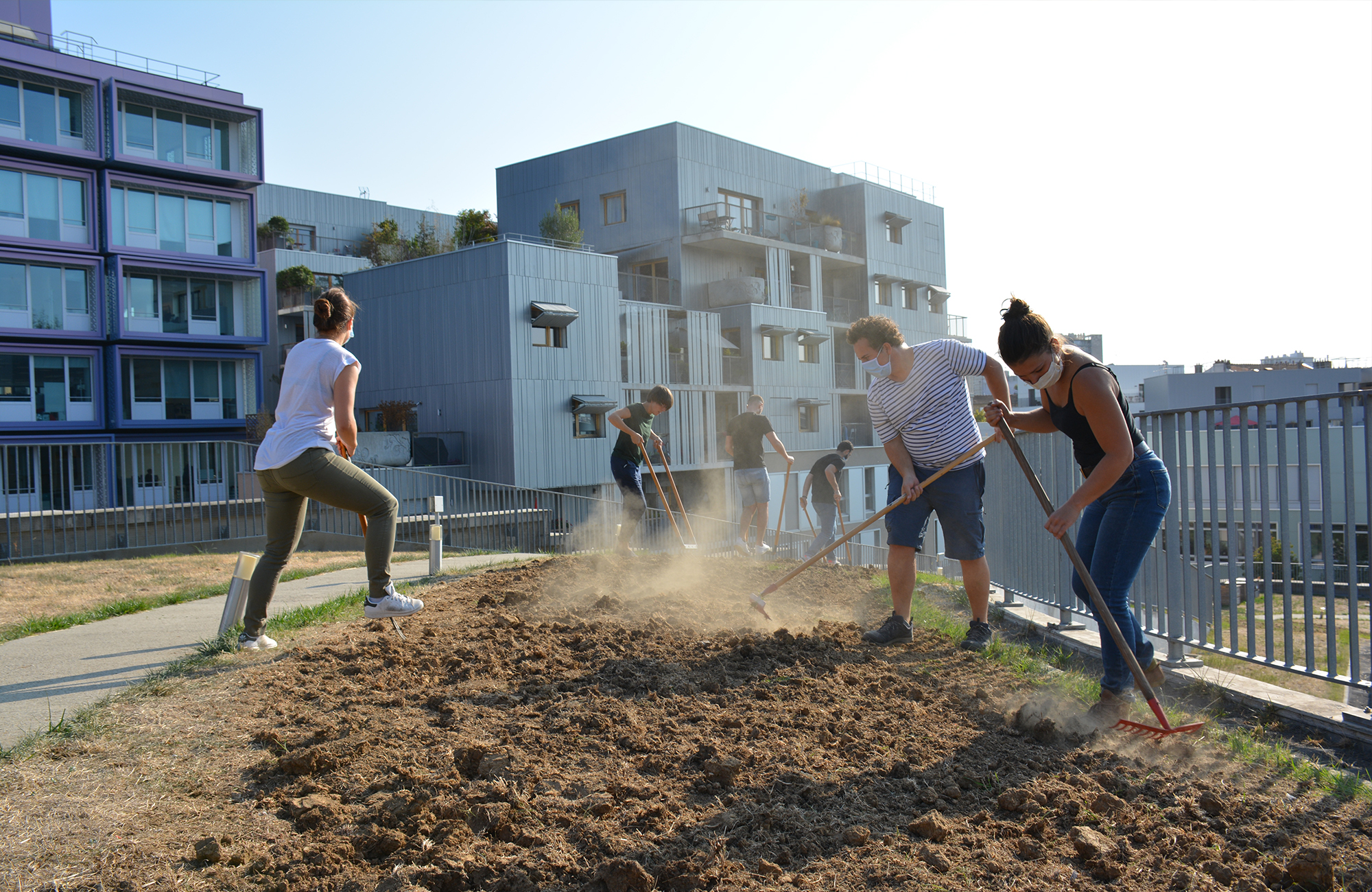 An experiment in ecological restoration une-experience-de-restauration-ecologique-08