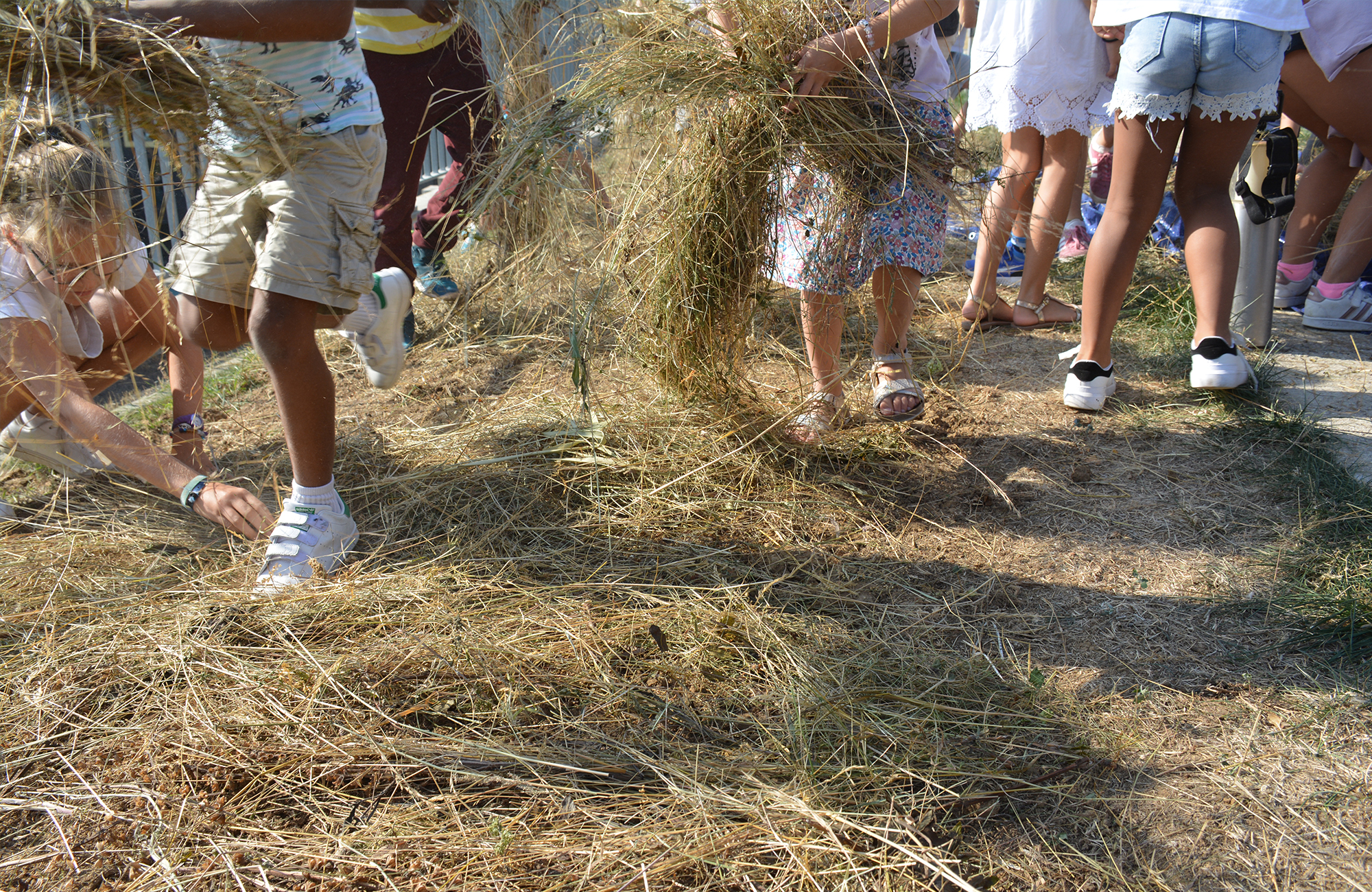 An experiment in ecological restoration une-experience-de-restauration-ecologique-12