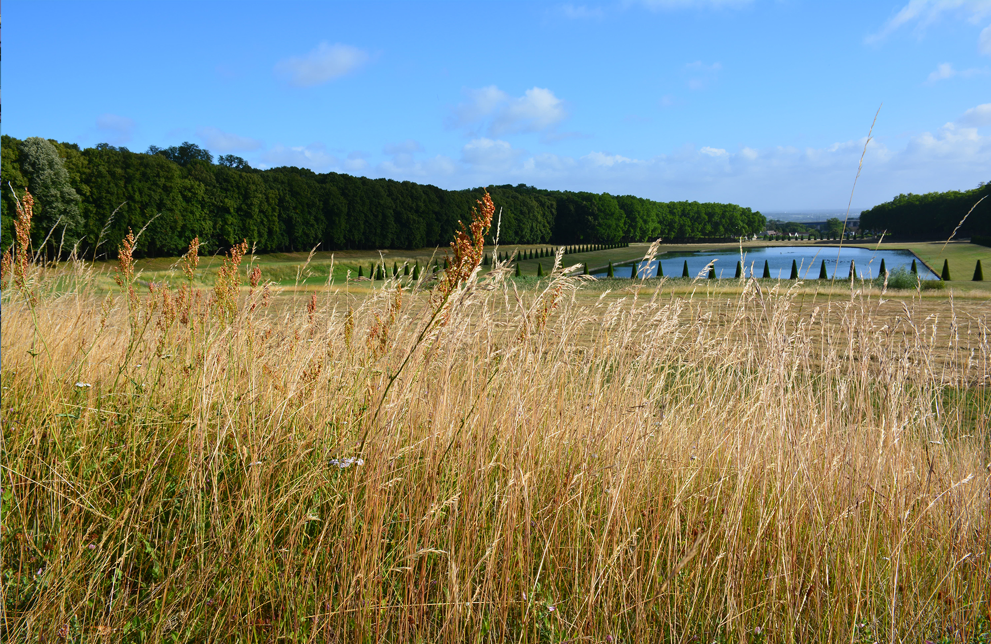 An experiment in ecological restoration une-experience-de-restauration-ecologique-11