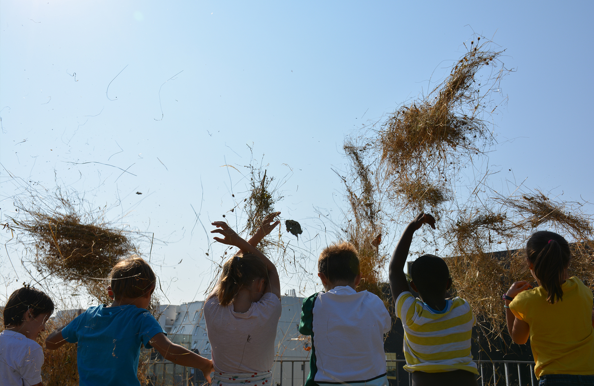 An experiment in ecological restoration une-experience-de-restauration-ecologique-13