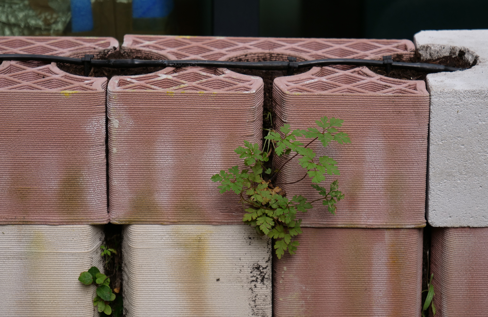 I.S.A., 3D printed clay bricks for living walls isa-briques-terre-cuite-imprimees-3d-parois-vivantes-01