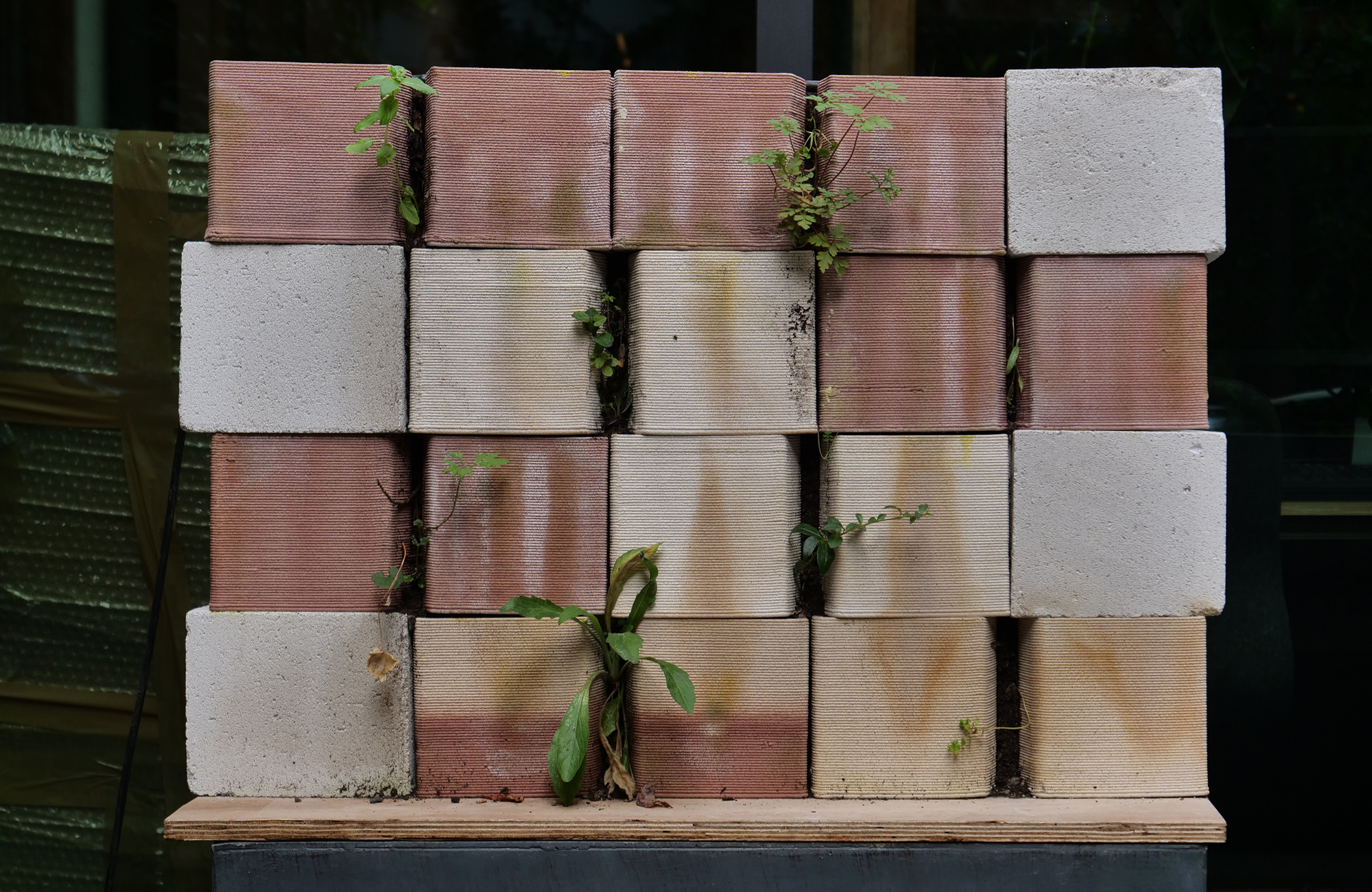 I.S.A., 3D printed clay bricks for living walls isa-briques-terre-cuite-imprimees-3d-parois-vivantes-03
