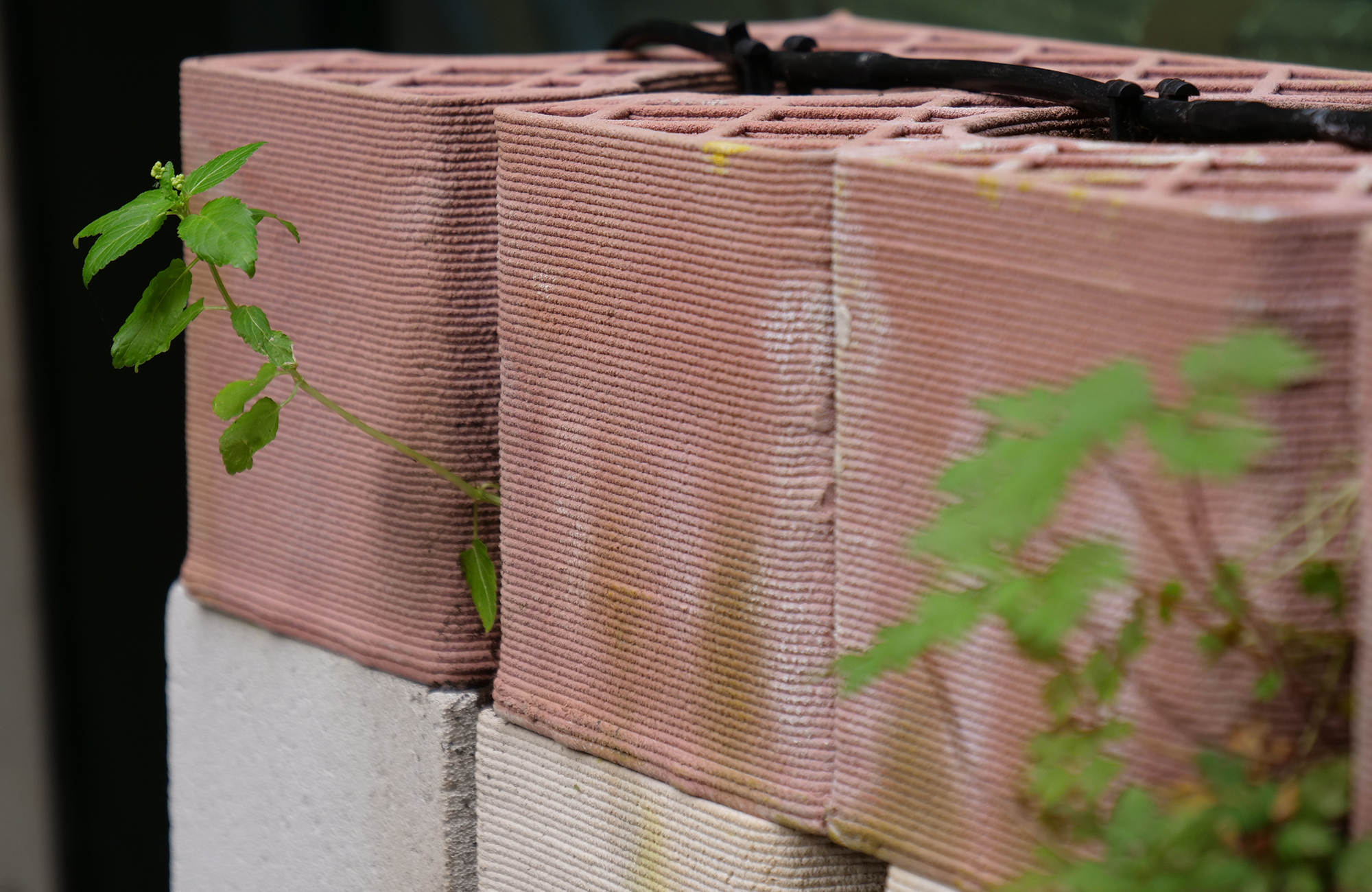I.S.A., 3D printed clay bricks for living walls isa-briques-terre-cuite-imprimees-3d-parois-vivantes-08