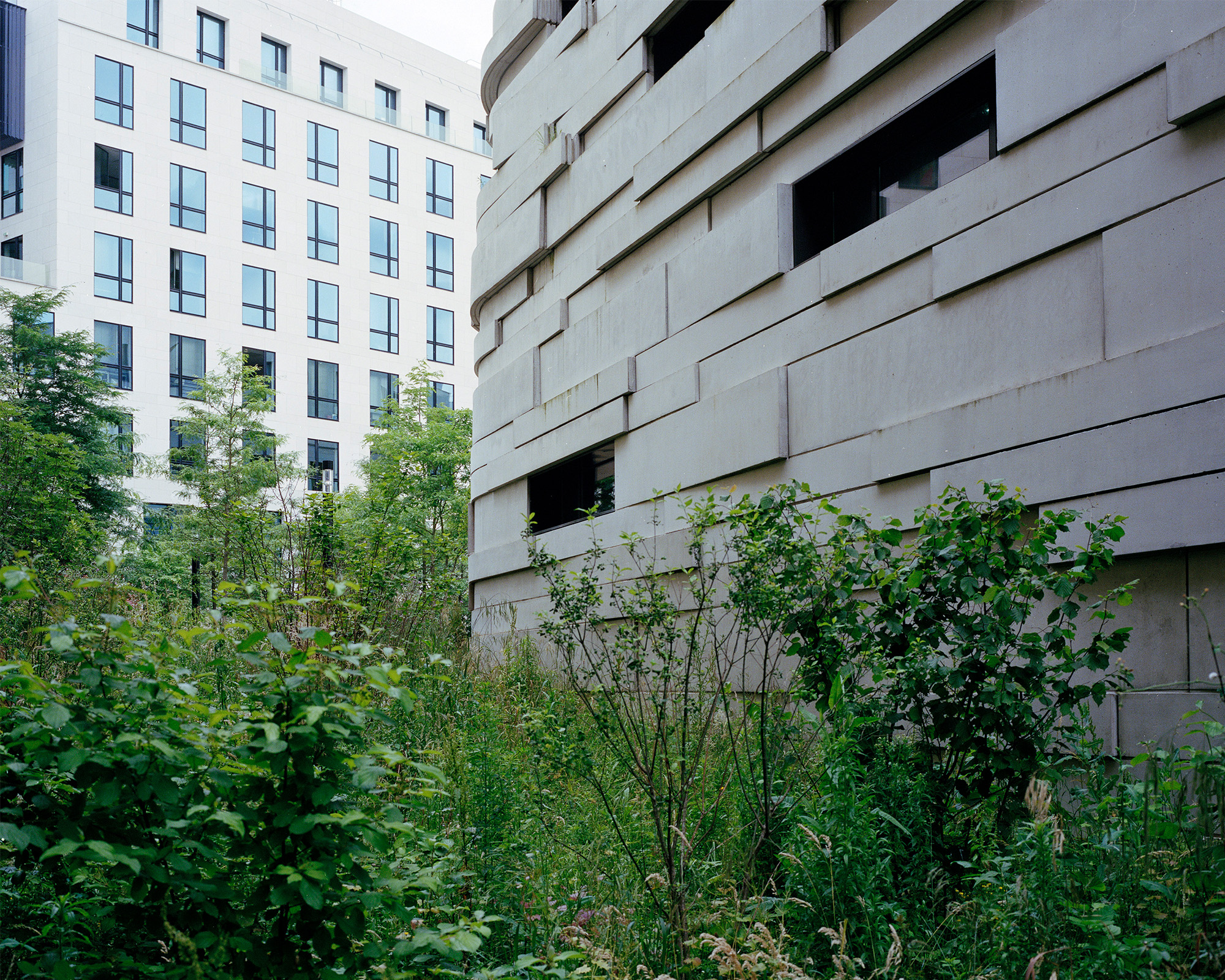 Myr Muratet, photographic report #1, Biodiversity School, Boulogne-Billancourt reportage-photo-ecole-boulogne-myr-muratet-13