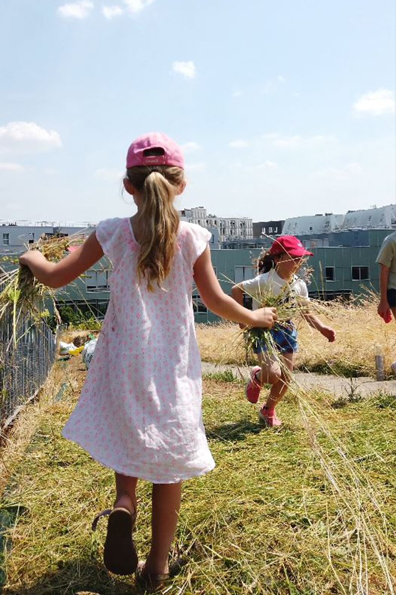 From the meadows of Marly to the roof of the Biodiversity School in Boulogne fauche-boulogne