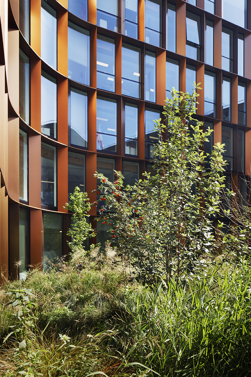 Offices in structural wood, Montjoie district bureaux-montjoie-saint-denis-09
