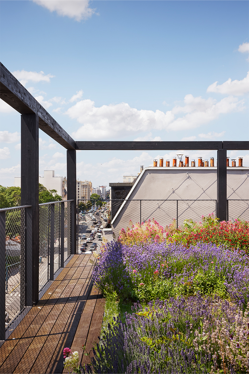 Ecole de Management en structure bois ecole-management-pantin-23