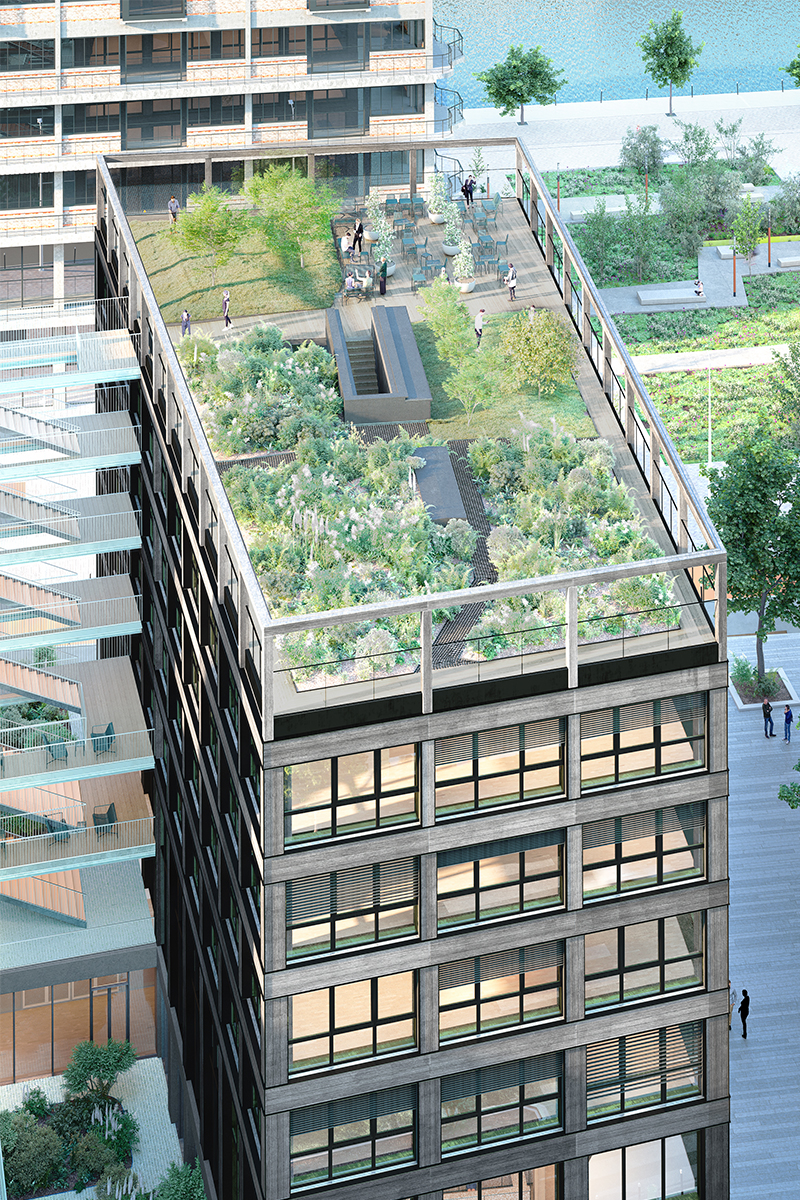 Ecole de Management en structure bois ecole-management-pantin-12