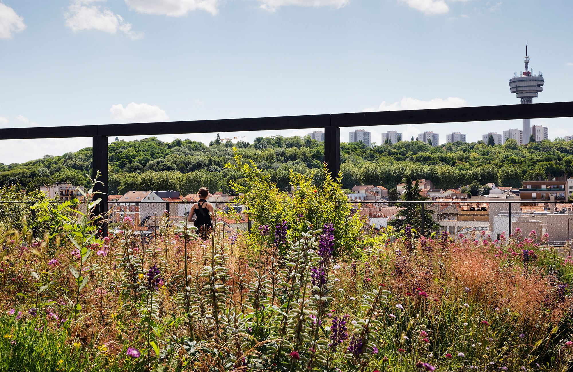 Ecole de Management en structure bois ecole-management-pantin-26