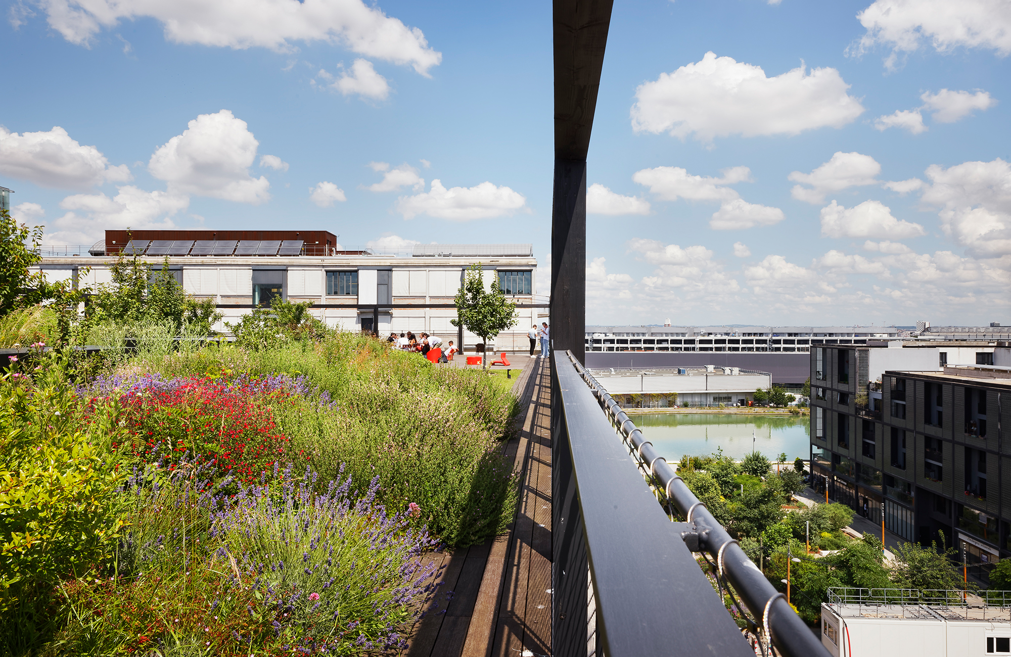 Ecole de Management en structure bois ecole-management-pantin-22