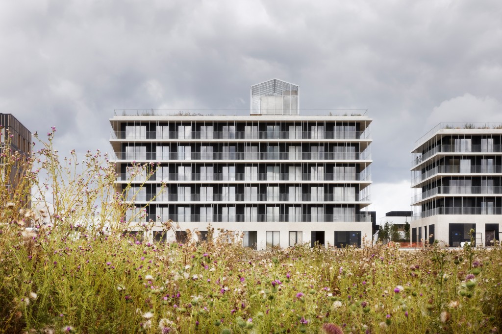 Social housing units, commercial premises, Sycomore district logements-quartier-sycomore-chapeau