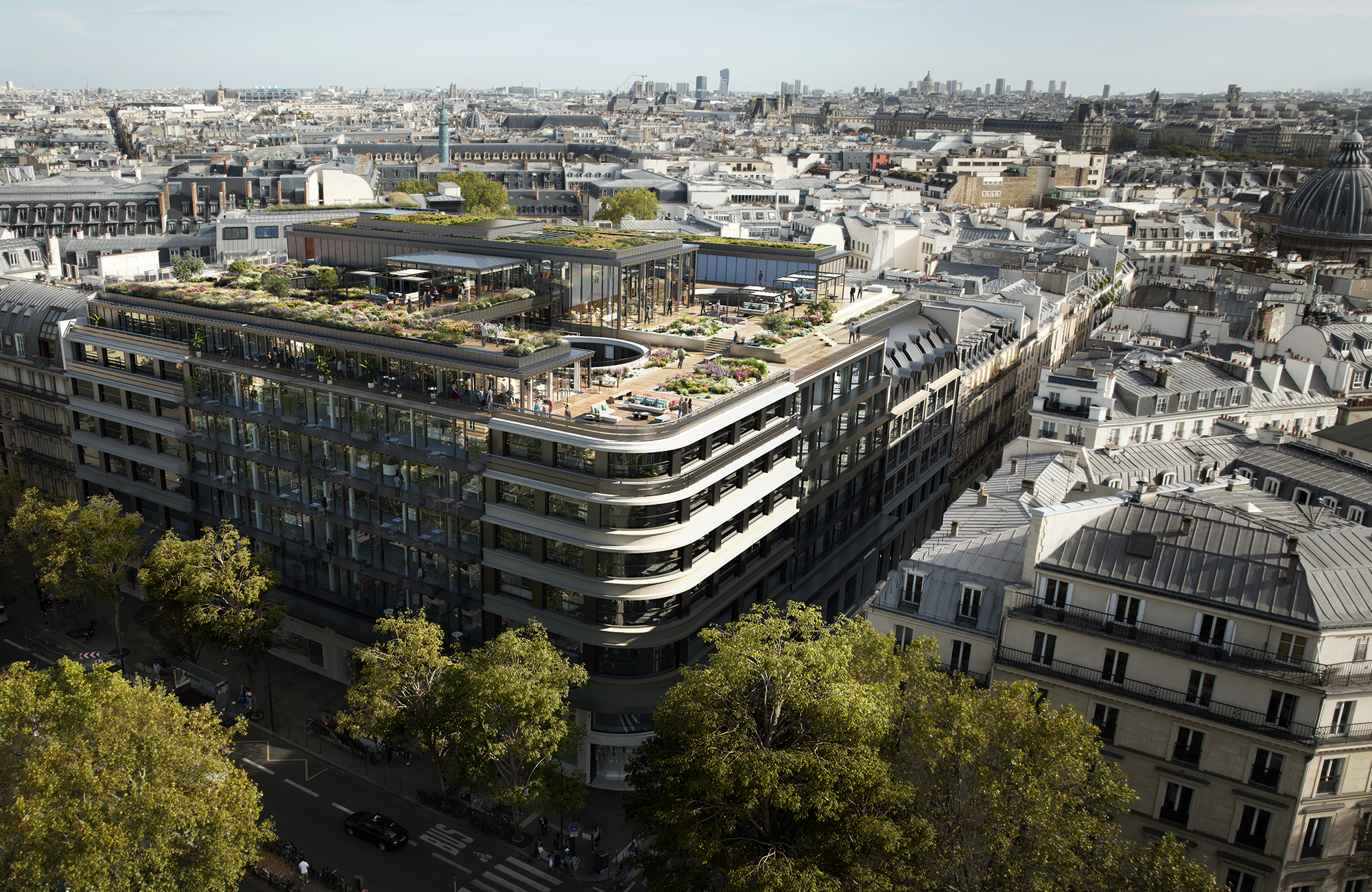 Madeleine, Nouvelle AOM madeleine-2