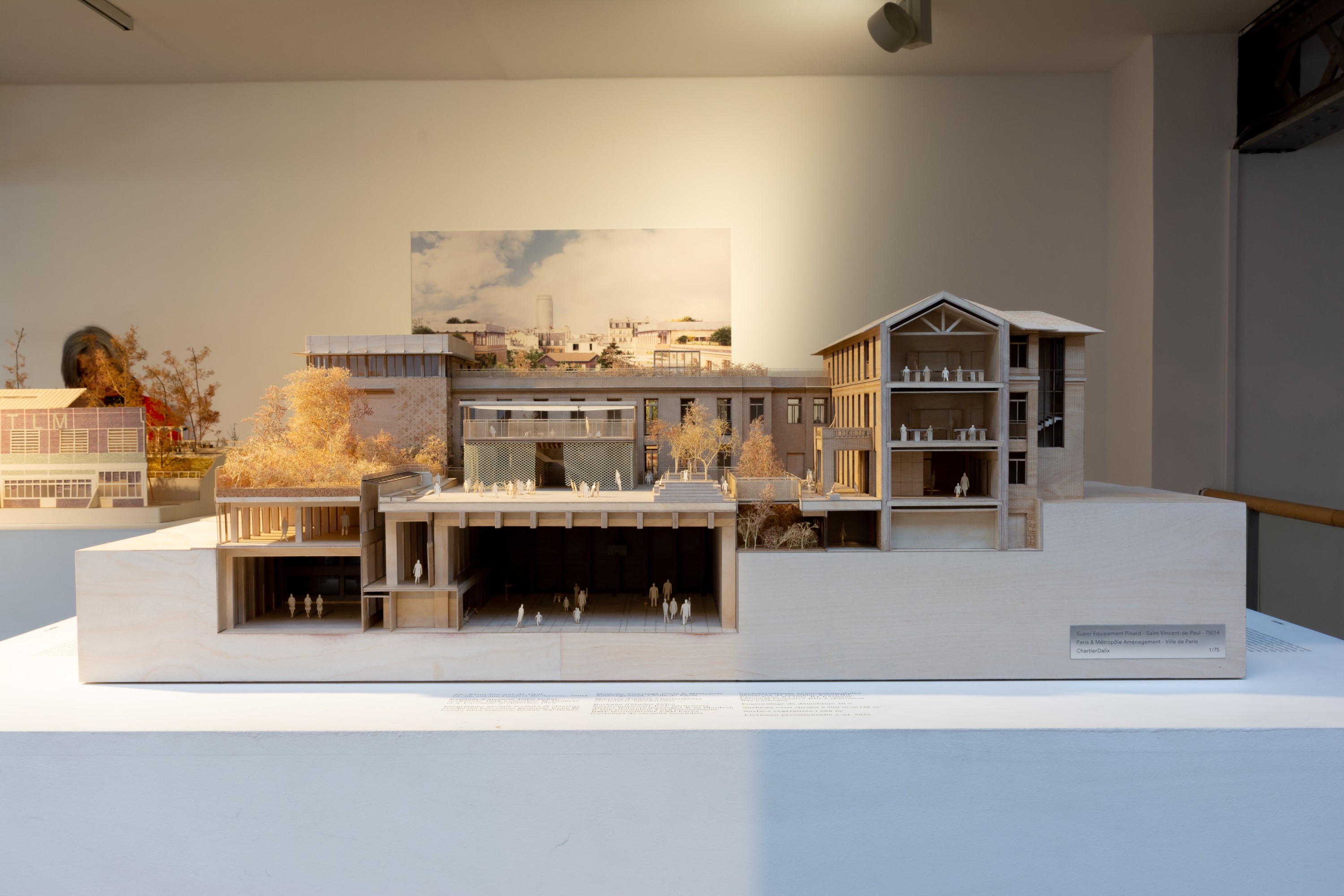 «Conserve, Adapt, Transmit» contribution-exposition-conserver-adapter-transmettre-6-copie