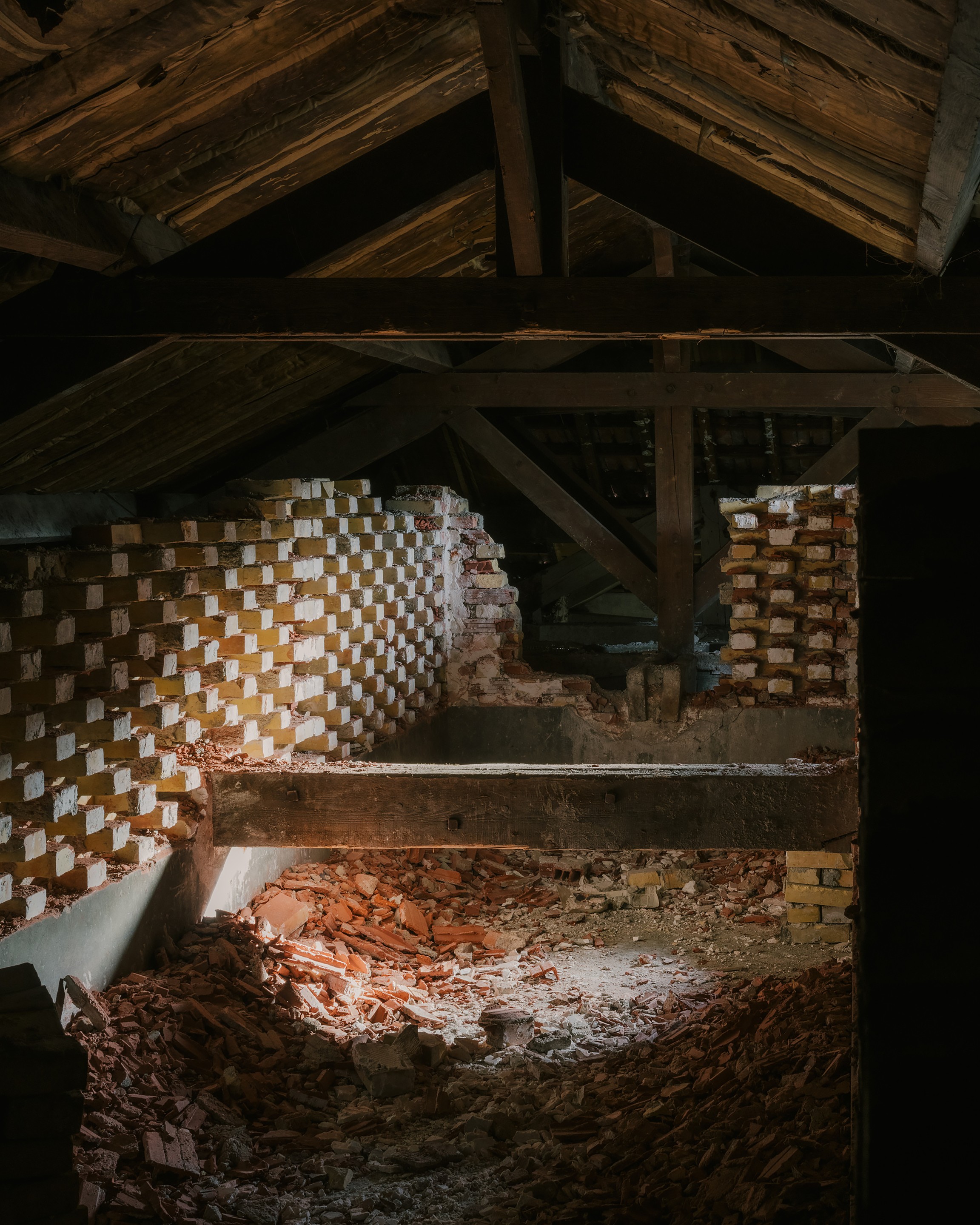 «Conserve, Adapt, Transmit» contribution-exposition-conserver-adapter-transmettre-1-copie