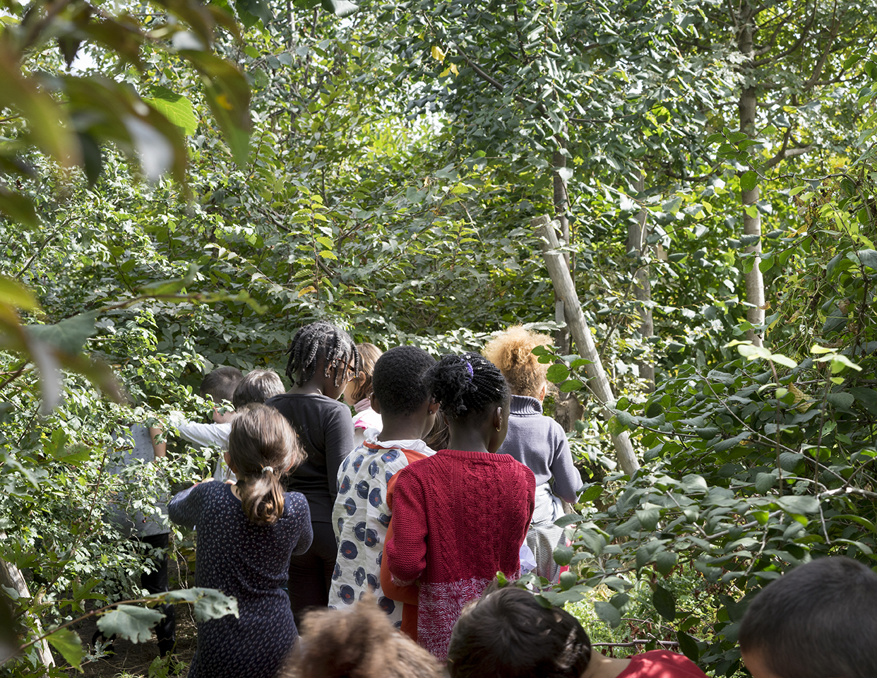 Myr Muratet, photographic report #2, Biodiversity School, Boulogne-Billancourt reportage-photo-ecole-boulogne-myr-muratet-00