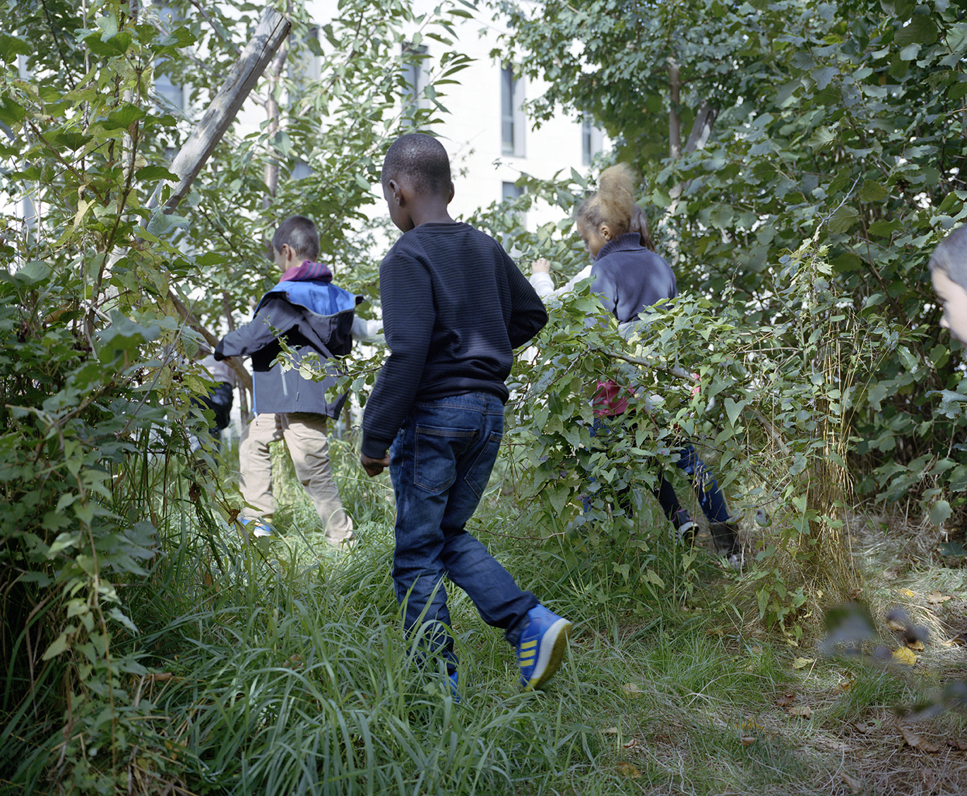 Myr Muratet, reportage photographique #2, École de la Biodiversité, Boulogne-Billancourt reportage-photo-ecole-boulogne-myr-muratet-10