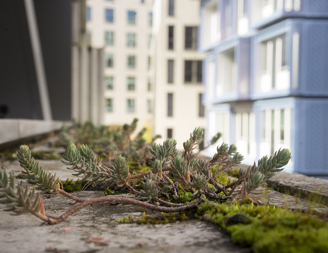Myr Muratet, reportage photographique #2, École de la Biodiversité, Boulogne-Billancourt reportage-photo-ecole-boulogne-myr-muratet-03