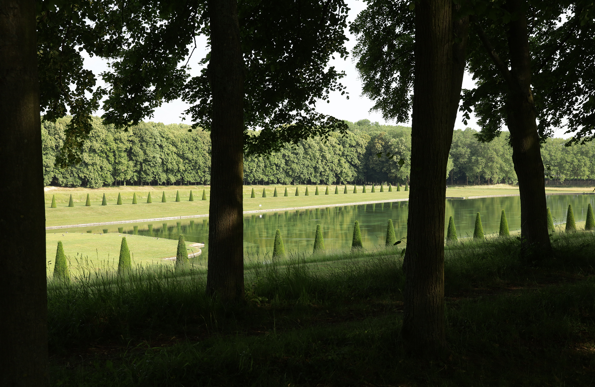 Des prairies de Marly au toit de l'École des Sciences et de la Biodiversité à Boulogne fauche-boulogne-8