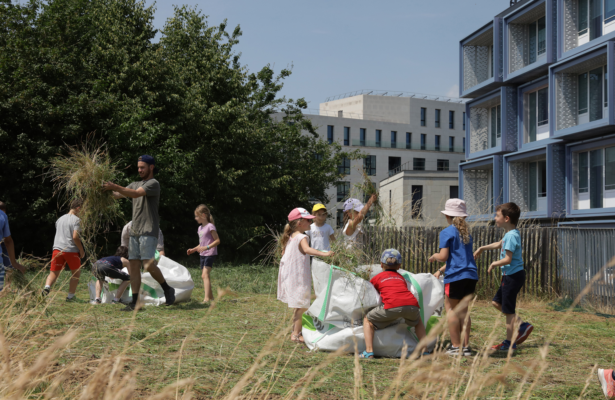 Des prairies de Marly au toit de l'École des Sciences et de la Biodiversité à Boulogne fauche-boulogne-16