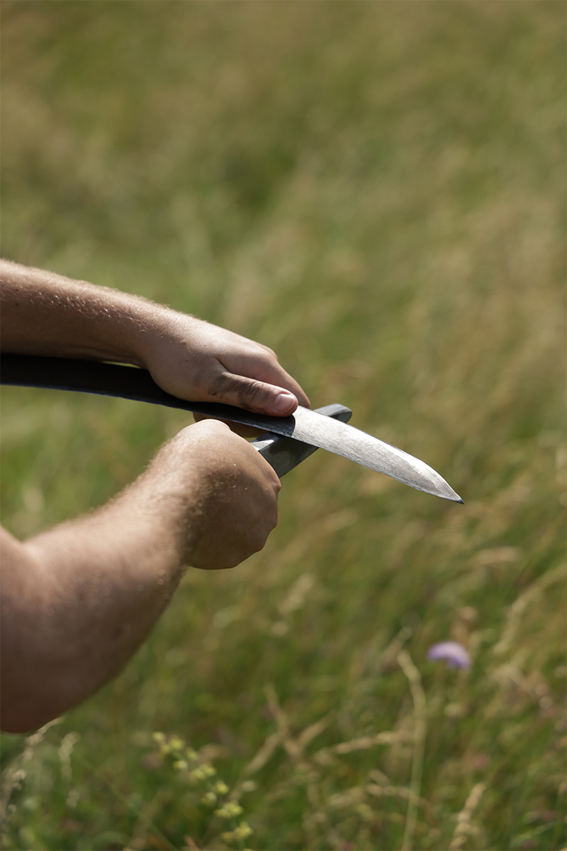 Des prairies de Marly au toit de l'École des Sciences et de la Biodiversité à Boulogne fauche-boulogne-7