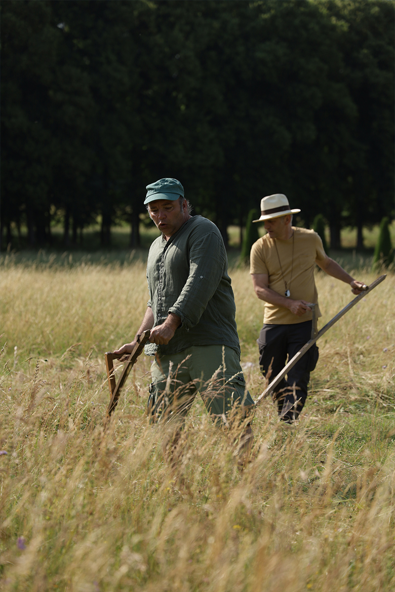Des prairies de Marly au toit de l'École des Sciences et de la Biodiversité à Boulogne fauche-boulogne-1