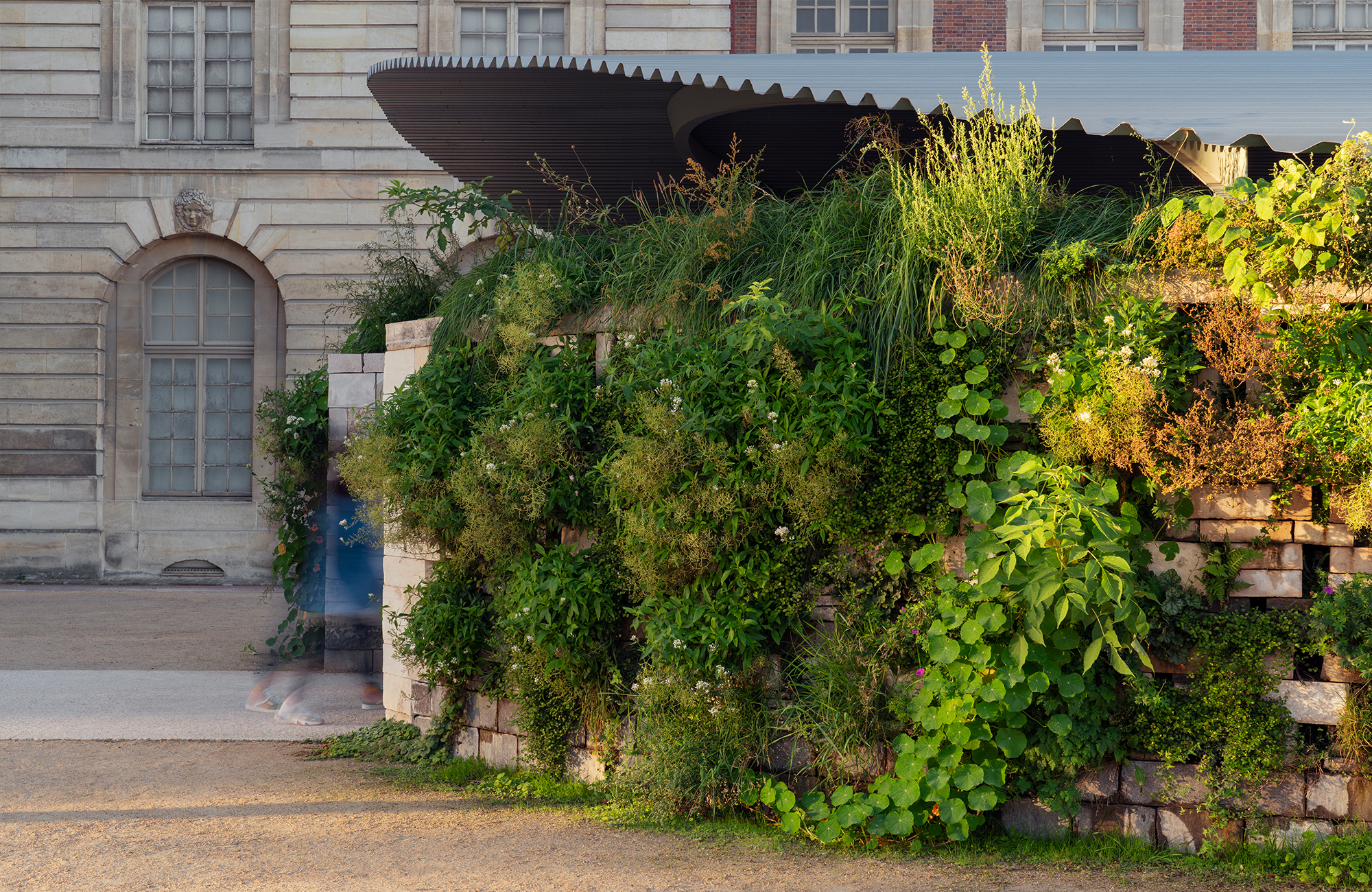 Végétal & Architecture, Pavillon biodiversitaire pavillon-bap-versailles-02