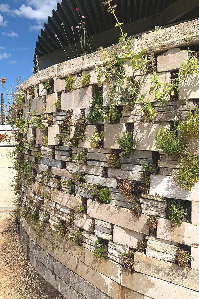 Végétal & Architecture, Pavillon biodiversitaire architecture-vegetal-pavillon-bap-36