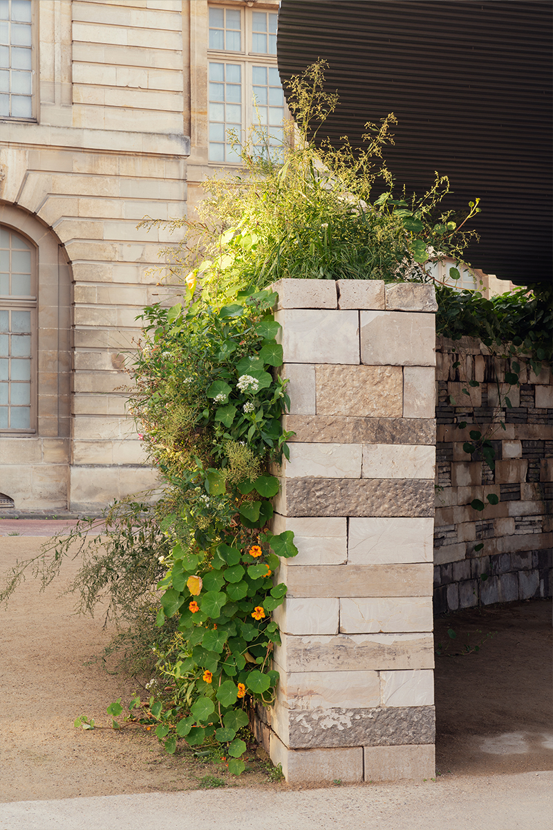 Végétal & Architecture, Pavillon biodiversitaire pavillon-bap-versailles-06